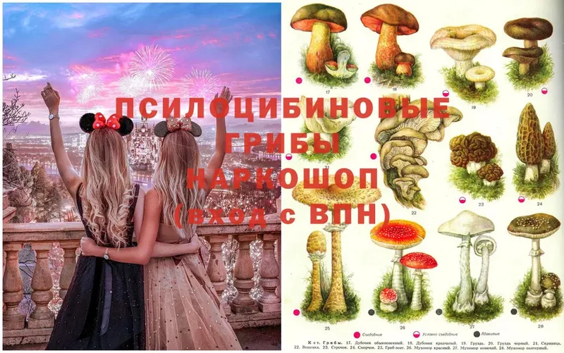 Псилоцибиновые грибы MAGIC MUSHROOMS  Камышин 