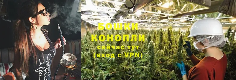 Бошки Шишки SATIVA & INDICA  где купить наркотик  МЕГА зеркало  Камышин 